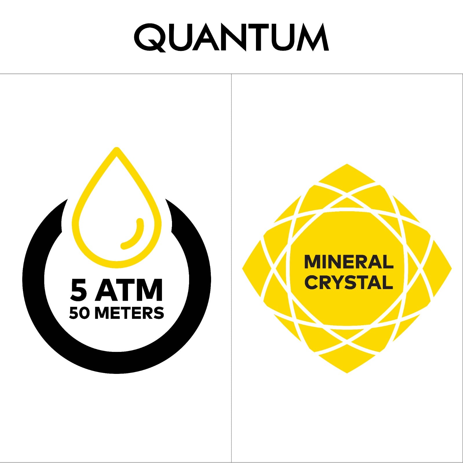 Quantum Watches | HNG969.650